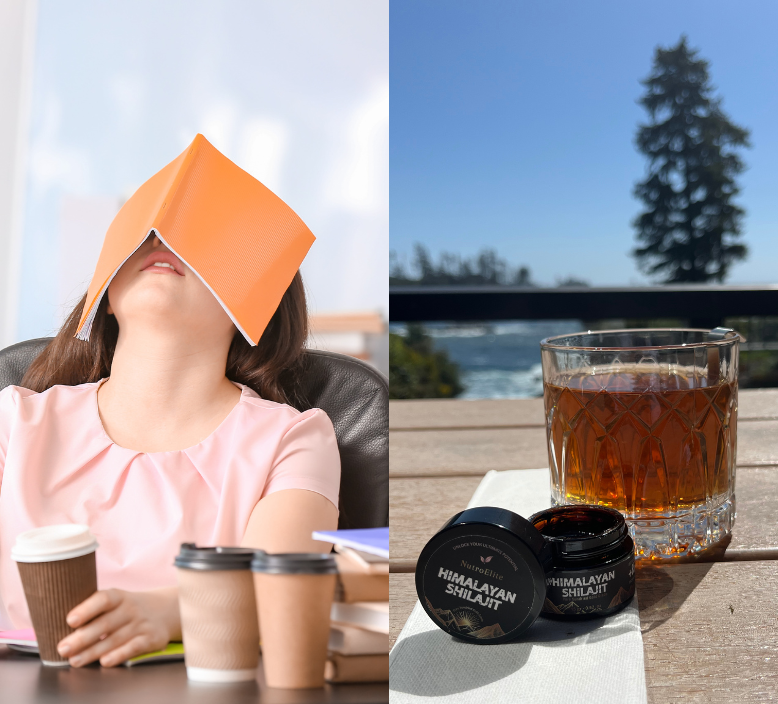 Shilajit vs. Coffee: What Fuels You Better?