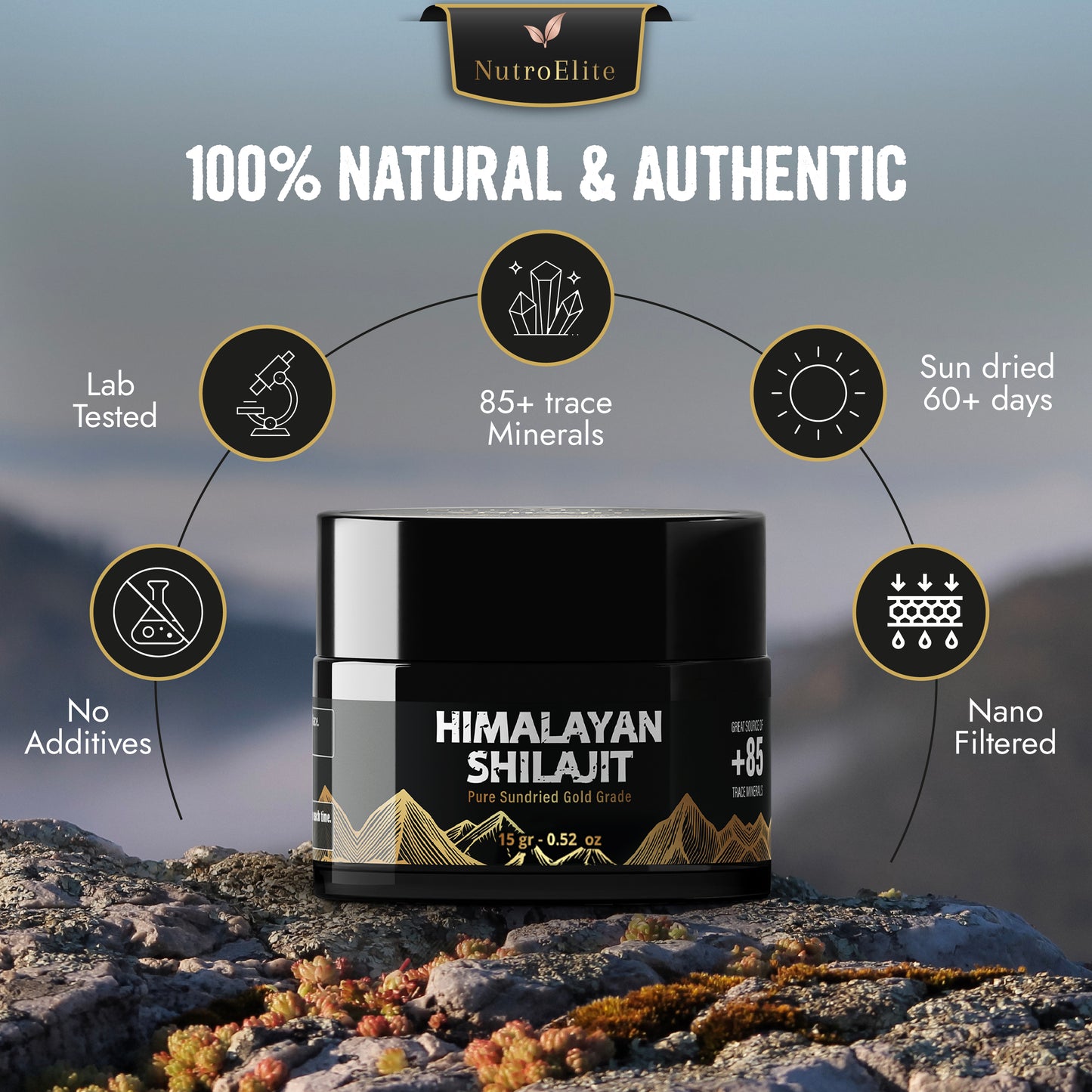 Pure Sun-dried Himalayan Shilajit Resin | 100% Natural & Authentic